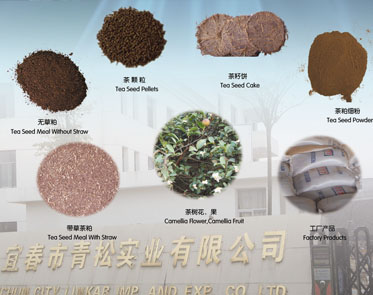 探究聚氨酯催化劑9727對聚氨酯泡沫抗老化性能和熱穩定性的影響