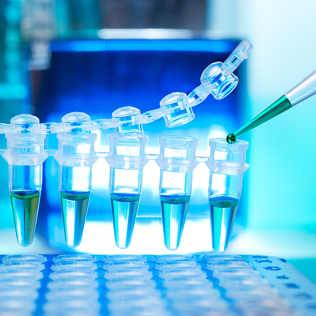 反應可控、性能穩定的軟質塊狀泡沫催化劑,保障生產過程的順利進行