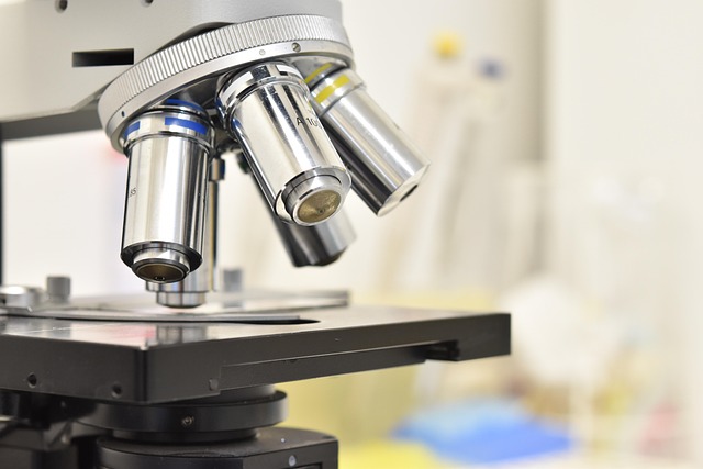 用于聚氨酯彈性體的環保型新癸酸鋅催化劑,提供良好的熱穩定性能