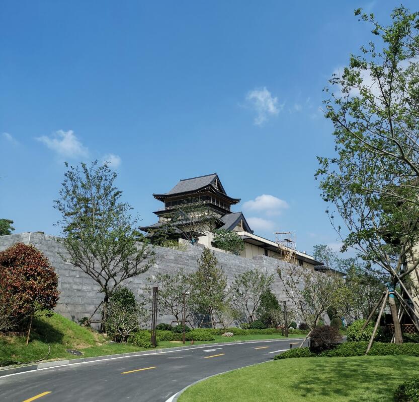 三(二甲氨基丙基)胺 n'-二甲基-1,3-丙二胺 cas 33329-35-0 n,n-二[3-(二甲氨基)丙基]-n